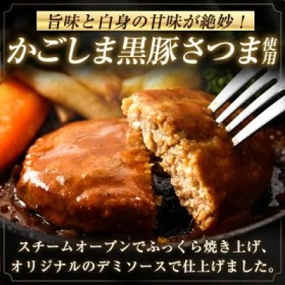 【期間限定】ロールステーキ2個付き 鹿児島県産 黒豚ハンバーグ 計24個(210g×8P)
