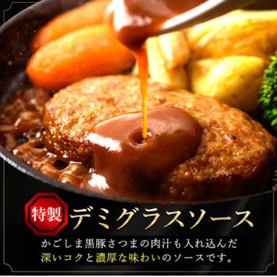 鹿児島県産黒豚デミグラスソースハンバーグ24個(210g(3個入)×8パック)