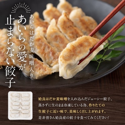 あいらはだか麦味噌入り冷凍生ぎょうざ「あいらの愛がとまらない餃子」計84個(12個入り×7P)