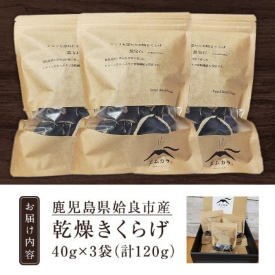 鹿児島県 姶良市産 国産 乾燥 きくらげ (黒宝石)計120g(40g×3袋) 【姶良のアグリM～】