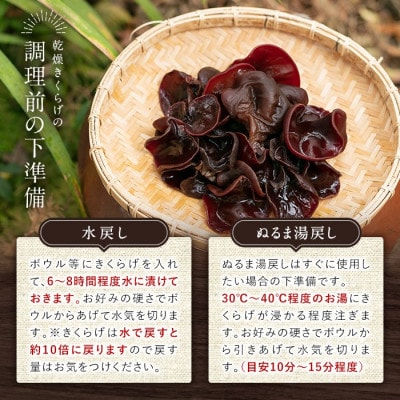 鹿児島県 姶良市産 国産 乾燥 きくらげ (黒宝石) 計60g(20g×3袋) 【姶良のアグリM～】