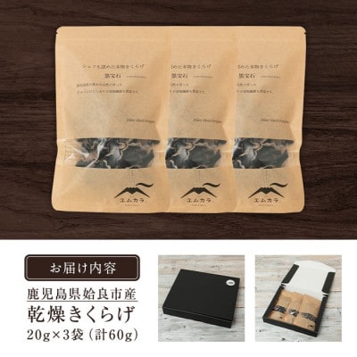 鹿児島県 姶良市産 国産 乾燥 きくらげ (黒宝石) 計60g(20g×3袋) 【姶良のアグリM～】