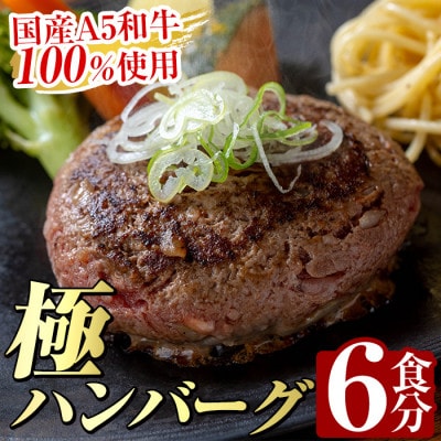 生食感ハンバーグ!やまさきの焼肉A5ランク極ハンバーグ150g×6袋(合計900g) a940