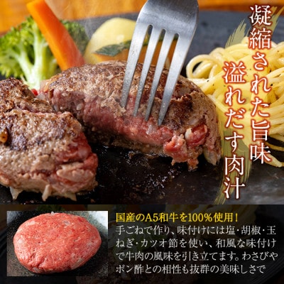生食感ハンバーグ!やまさきの焼肉A5ランク極ハンバーグ150g×6袋(合計900g) a940
