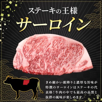 期間限定!合挽ハンバーグ付 A5等級 鹿児島県産 黒毛和牛 サーロイン 2枚入り1P 【水迫畜産】