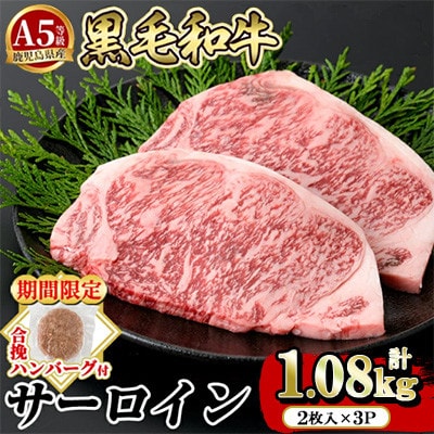 期間限定!合挽ハンバーグ付 A5等級 鹿児島県産 黒毛和牛 サーロイン 2枚入り3P 【水迫畜産】