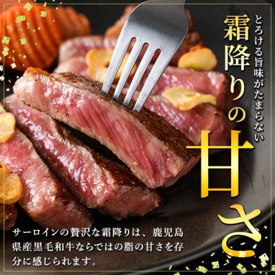 期間限定!合挽ハンバーグ付 A5等級 鹿児島県産 黒毛和牛 サーロイン 2枚入り4P 【水迫畜産】