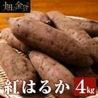 畑の金貨 紅はるか 4kg 生芋 鹿児島県 さつまいも【甘いも販売所】a174