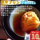 冷凍プリン!濃厚なめらかプリン プレーン 計10個 【かじはらプリン】a529