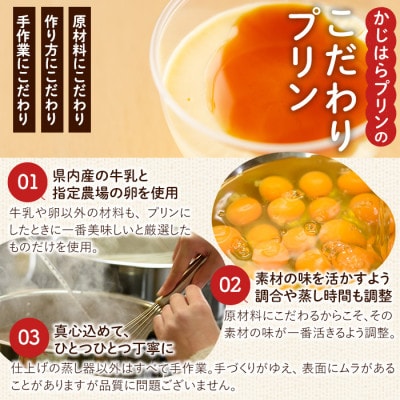 冷凍プリン!濃厚なめらかプリン 焦がしキャラメリーゼ 計10個 【かじはらプリン】a529