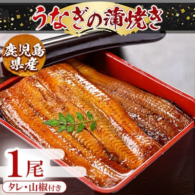 うなぎ蒲焼き 1尾分 170g～190g【うえの屋】a982-A