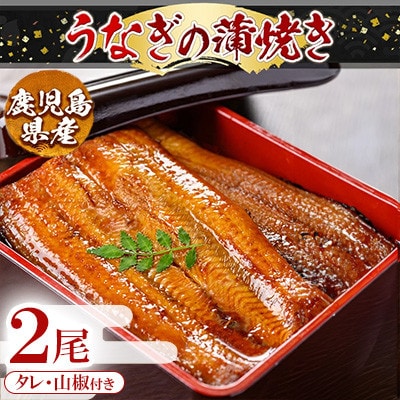 うなぎ蒲焼き 2尾分 計340g～380g【うえの屋】a982-B