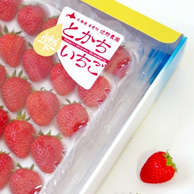 十勝の青空と恵みの水で育った「とかち雫いちご」30粒(約400g)【A62】