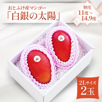 【先行受付】おとふけ産マンゴー「白銀の太陽」 2L×2玉【D22】