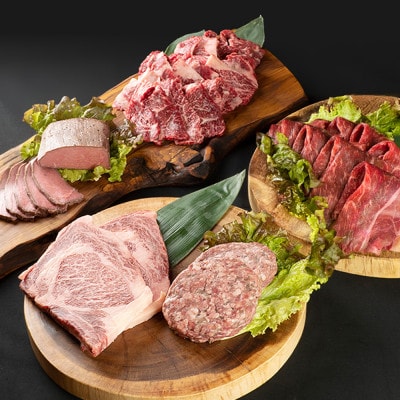 北海道産 黒毛和牛5種セット 北の牧場舎 ブランド「きのe-びーふ」　【D21】