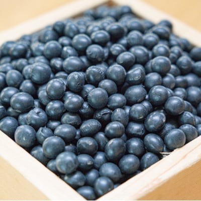 豆の産地 おとふけ「黒豆10kg」令和6年産【D45】