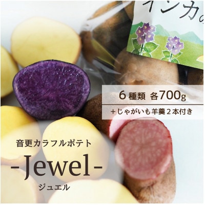 音更産カラフルポテト-jewel-　じゃがいも羊かん2本付き【A129】