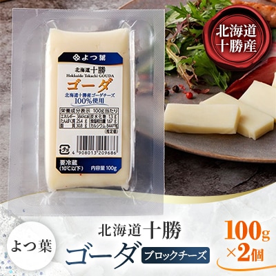 「よつ葉」北海道十勝 ゴーダ(ブロックチーズ) 100g×2個【B155】