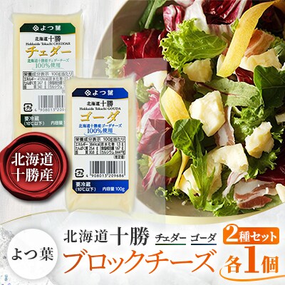 「よつ葉」北海道十勝 ブロックチーズ2種セット 各1個【B157】