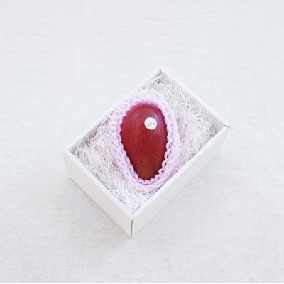 【先行受付】おとふけ産マンゴー「白銀の太陽」3L×1玉【C94】