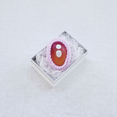 【先行受付】おとふけ産 マンゴー「白銀の太陽プレミアム」M×1玉【C95】