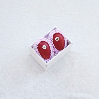 【先行受付】おとふけ産 マンゴー「白銀の太陽プレミアム」M×2玉【D64】