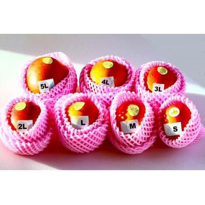 【先行受付】おとふけ産 マンゴー「白銀の太陽プレミアム」M×2玉【D64】