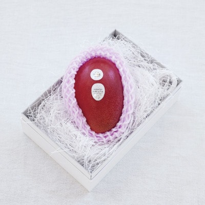 【先行受付】おとふけ産マンゴー「白銀の太陽プレミアム」3L×1玉【D61】