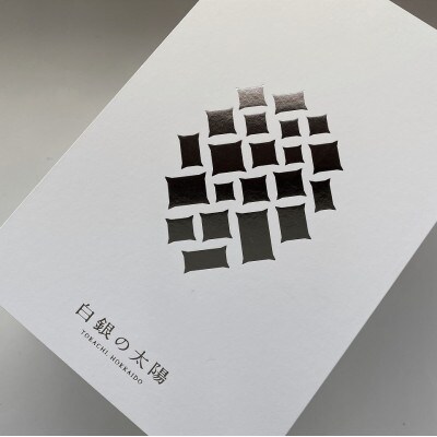 【先行受付】おとふけ産マンゴー「白銀の太陽プレミアム」3L×1玉【D61】