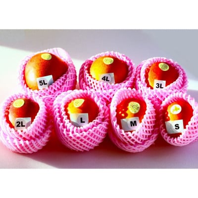 【先行受付】おとふけ産マンゴー「白銀の太陽プレミアム」3L×1玉【D61】