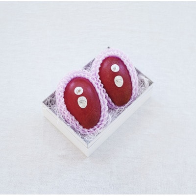 【先行受付】おとふけ産マンゴー「白銀の太陽プレミアム」3L×2玉【D62】