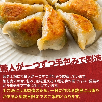 【さとふる限定】手造り餃子1kg×2袋　合計2kg【音更ぎょうざの宝永】B31