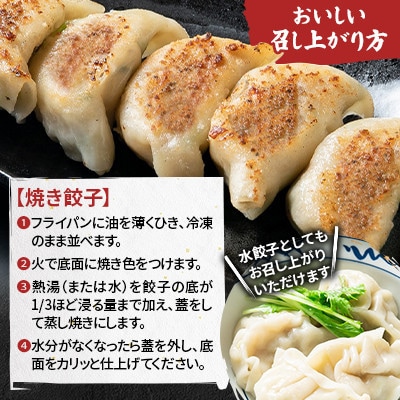【さとふる限定】手造り餃子1kg×2袋　合計2kg【音更ぎょうざの宝永】B31