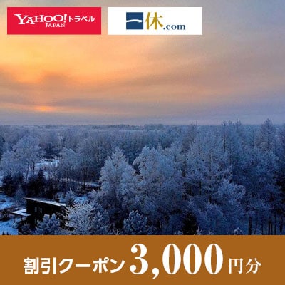 【北海道音更町】一休.com・Yahoo!トラベル割引クーポン(3,000円分)