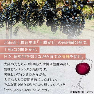 ワイン オトプケ浪漫清舞2024