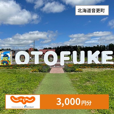 【じゃらんふるさと納税クーポン】 北海道音更町でつかえる3,000円 クーポン