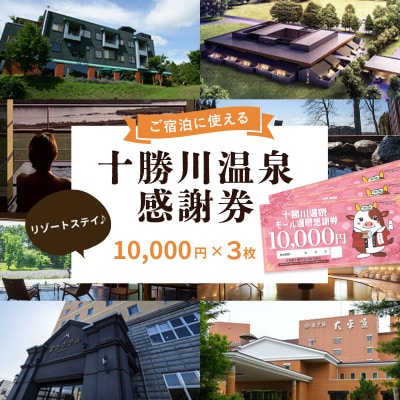 十勝川温泉 モール温泉 感謝券 30,000円分 【T-100000】