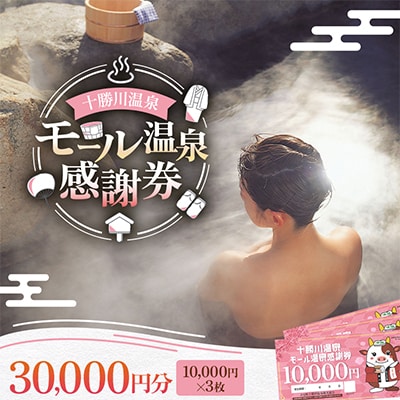 十勝川温泉 モール温泉 感謝券 30,000円分 【T-100000】