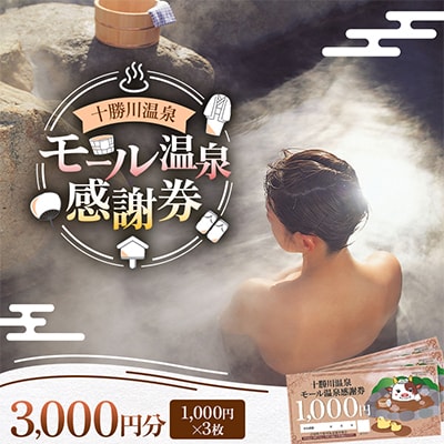 十勝川温泉 モール温泉 感謝券 3,000円分【T-10000】