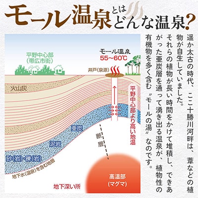 十勝川温泉 モール温泉 感謝券 3,000円分【T-10000】