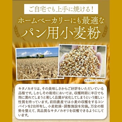 北海道十勝 前田農産パン用小麦粉「キタノカオリ」10kg