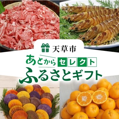 あとからセレクト【ふるさとギフト】60万円_S999-060
