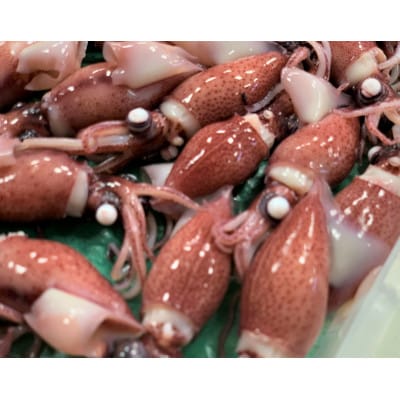 カネツル砂子商店のボイルほたるいか　460g