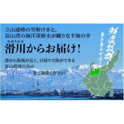 【冷凍】ボイル紅ズワイガニ 2杯