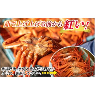 【冷凍】ボイル紅ズワイガニ 2杯