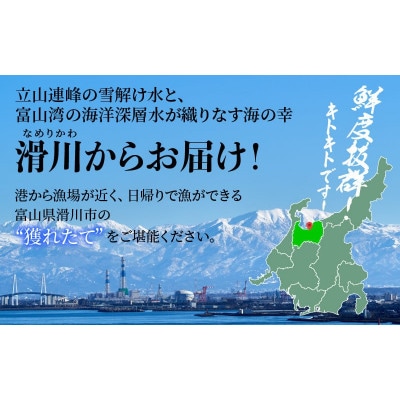 【冷凍】ボイル紅ズワイガニ【大サイズ】700g前後×2杯