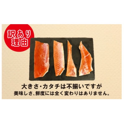訳あり うす塩 秋鮭ハラス切り身 5袋 | 1.5kg 骨なし