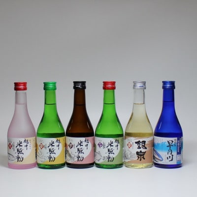 ふるさと特産品　富山の焼酎　6本飲み比べセット