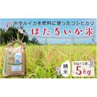 【ほたるいか米】精米　5kg