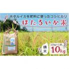 【ほたるいか米】精米　10kg